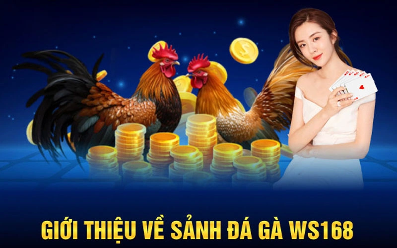 Tổng quan về đá gà Ws168 trên Ev88